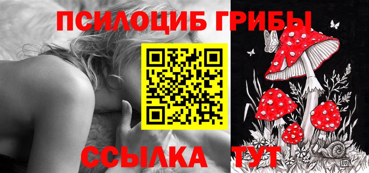 Сочи  Галлюциногенные грибы Cubensis  Вход с VPN 